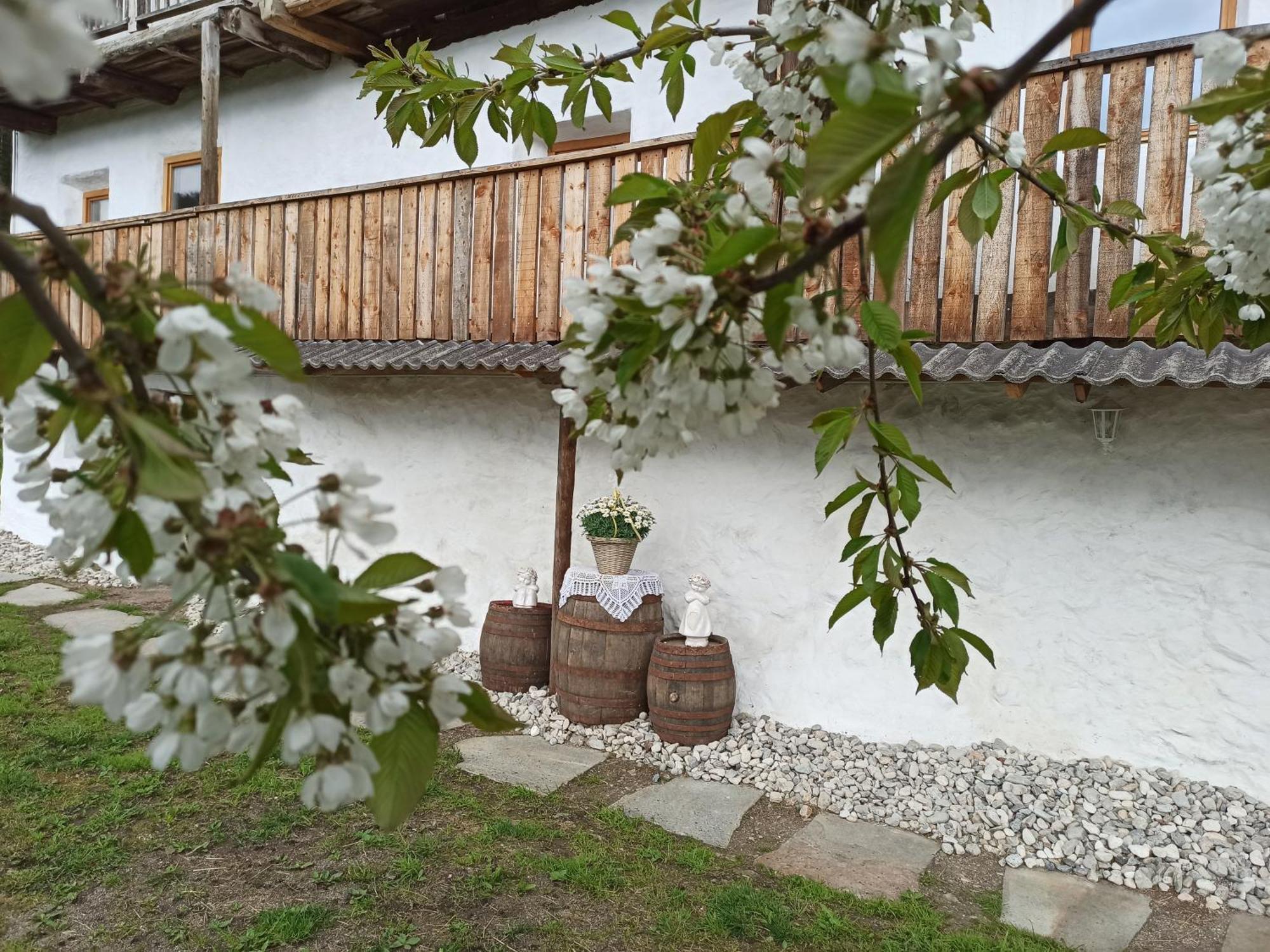 Natur Appartments Riesen San Lorenzo di Sebato Exteriér fotografie